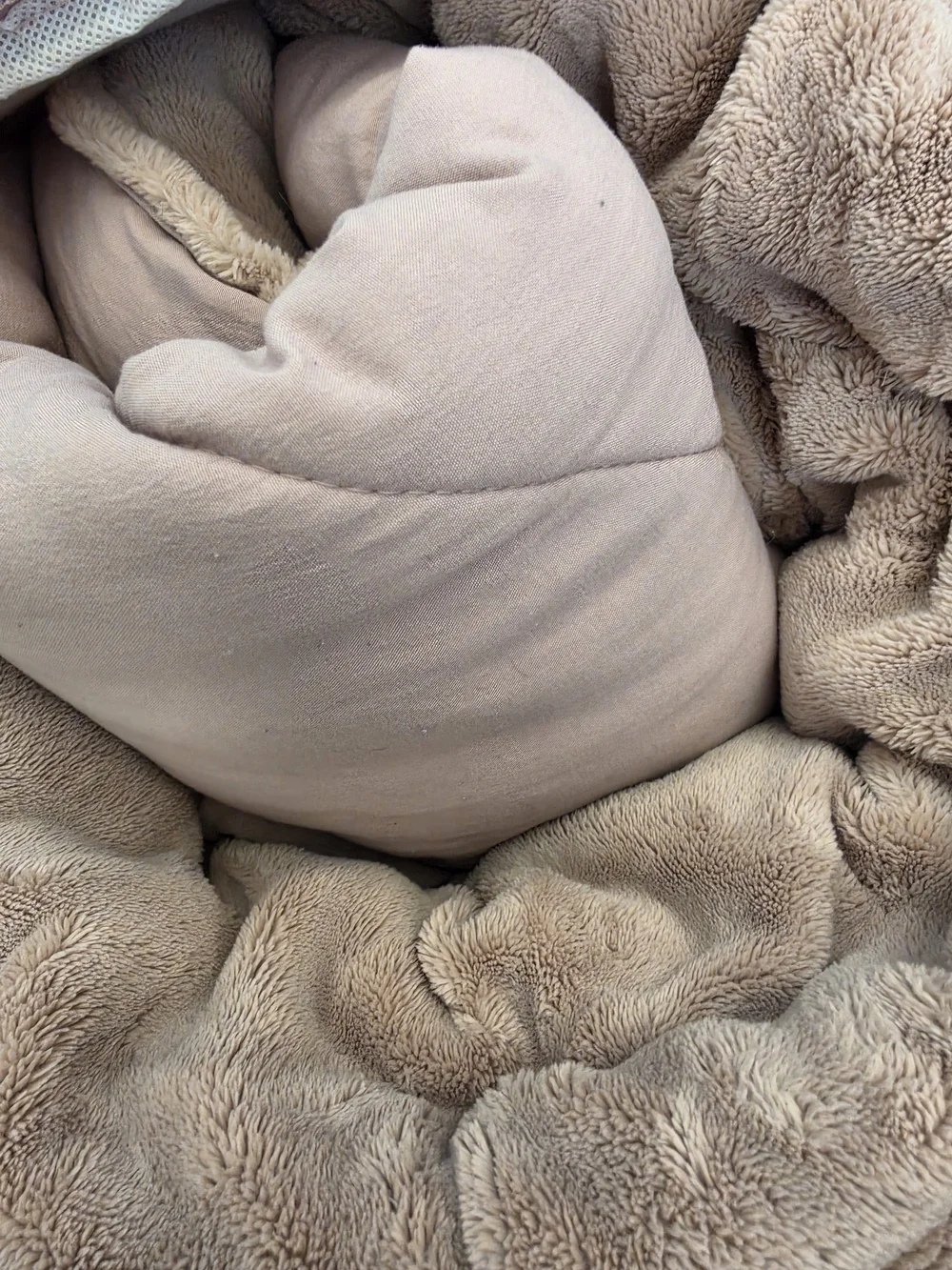 UGG Reversible Corey King Comforter Set in Blush